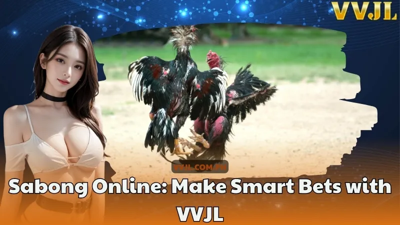 Sabong Online Make Smart Bets with VVJL