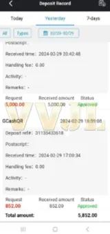 VVJL Casino Deposit 6 Record